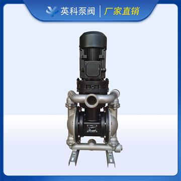 立式電動(dòng)隔膜泵